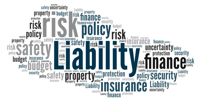 Understanding Business Liability Insurance
